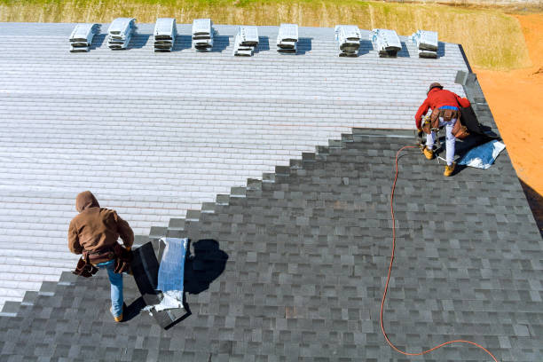 Best Storm Damage Roof Repair  in Guntown, MS
